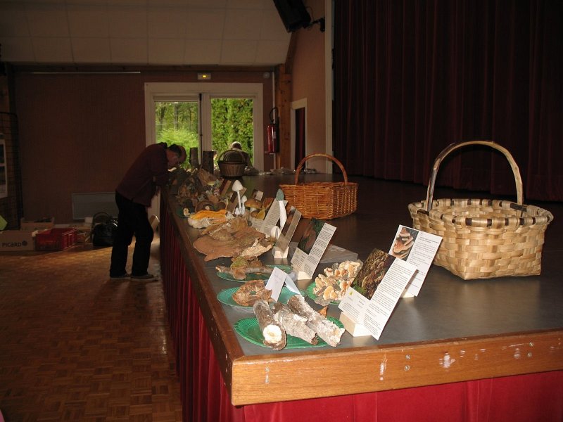 2009 10 Expo champignons de Clairefontaine 18